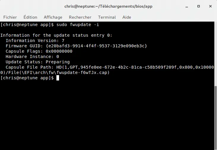 Flash your Lenovo Ideapad laptop's BIOS from Linux using UEFI capsule updates