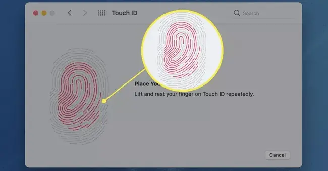 Place fingerprint