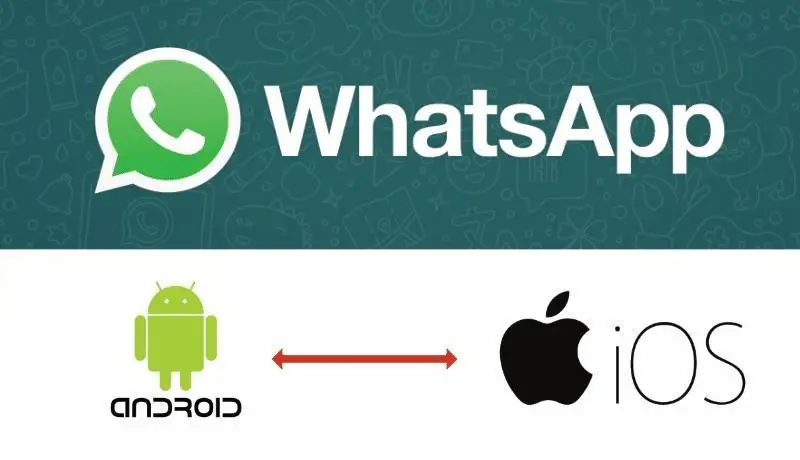 Struggling To Transfer WhatsApp From Android To iPhone? This Guide Is All You Need