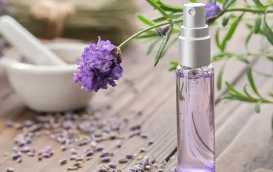 Surprising Benefits of Using the Best Stress Relief Mist Daily