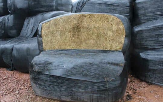 Innovative Silage Wrap Solutions from Leading Industry Suppliers