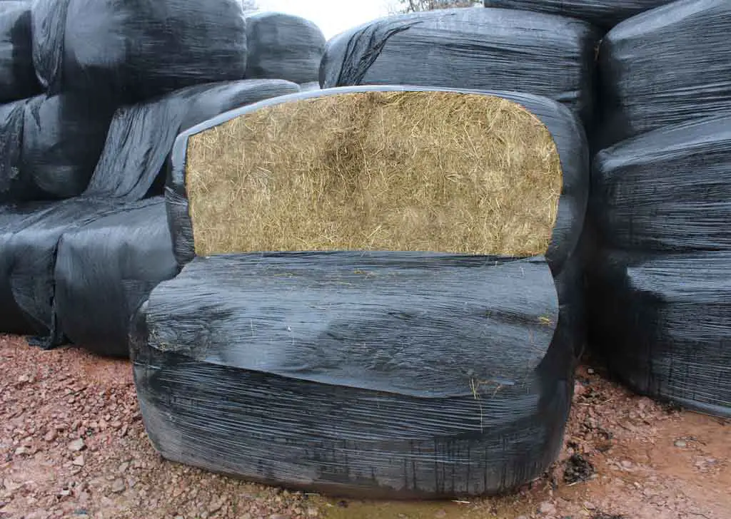 Innovative Silage Wrap Solutions from Leading Industry Suppliers