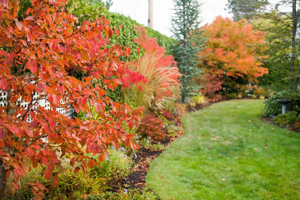 Seasonal Transitions: Preparing Your Lawn for Spring, Summer, Fall, and Winter