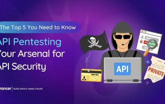 Harnessing The Power of API Pentesting Tools: Your Armor Against Cyber Threats